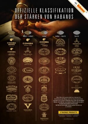 10月份产品汇总